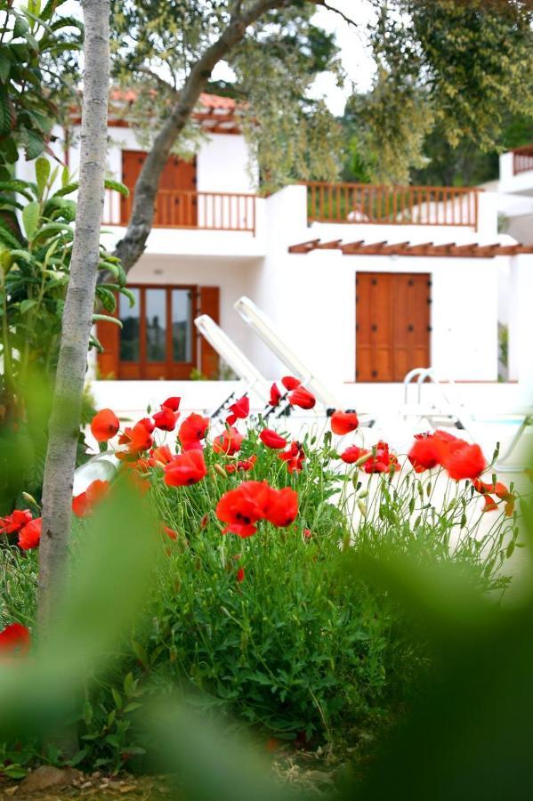 Skopelos Summer Homes Exterior foto