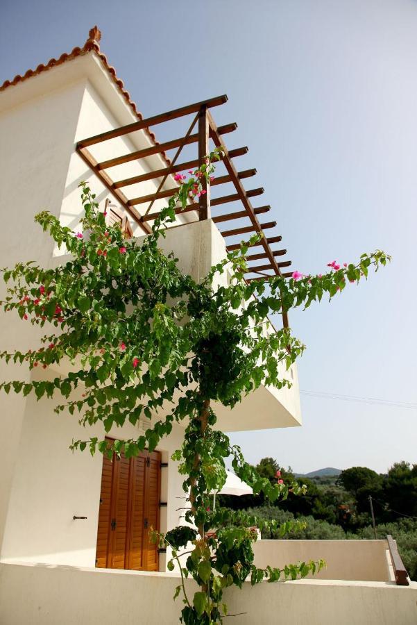 Skopelos Summer Homes Exterior foto